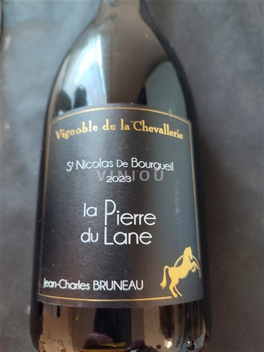 Vallée de la Loire Saint-Nicolas-De-Bourgueil Vignoble de la Chevalerie la Pierre du Lane 2023