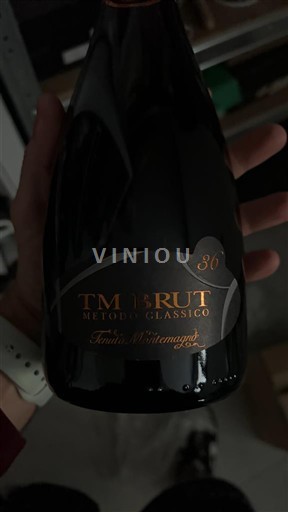 Piemonte Monferrato Tenuta Montemagno TM Brut Metodo Classico 36 Không niên vụ