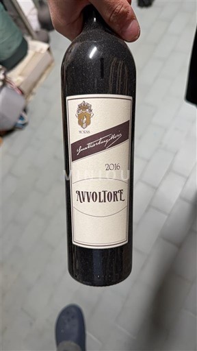 Rượu vang Rouge sec Avvoltore Morisfarms 2016 Ý Toscana Không được chỉ định DOC