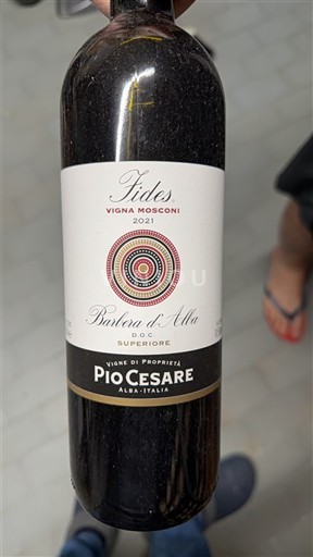 Piemonte Barbera d'Alba Pio Cesare Fides Vigna Mosconi 2021