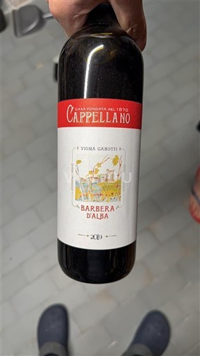 Piemonte Barbera d'Alba Cappellano Vigna Gabutti 2019