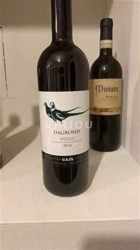 Piemonte Barolosta Gaja Dagromis 2018