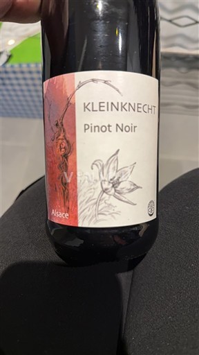 Alsace Château Kleinknecht Pinot Noir Không niên vụ