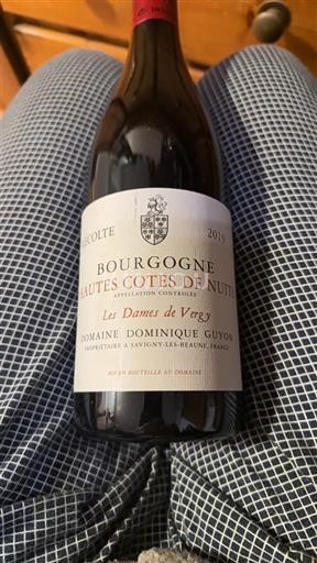 Burgundsko Nespecifikováno Domaine Dominique Guyon Les Dames de Vergy 2019