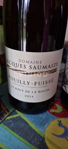 Bourgondië Pouilly-fuissé Domaine Jacques Saumaize Le Haut de la Roche 2024