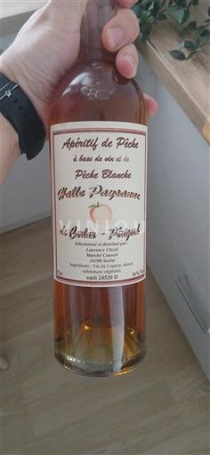 Sud-Ouest Les Coteaux de Viségnac Pêche Blanche Haute Pression Non Millésimé