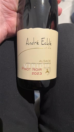 Alsace André Ecklé et Fils Pinot Noir 2023