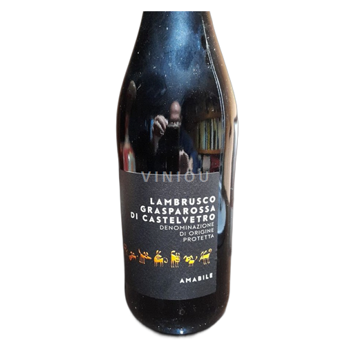 Emilie-Romagne Lambrusco Cantina Settecani Non Millésimé