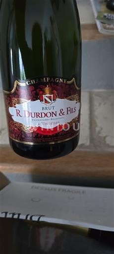 Peneča vina Blanc brut R. Durdon & Fils Non millésimé Francija Šampanja Šampanjec AOC