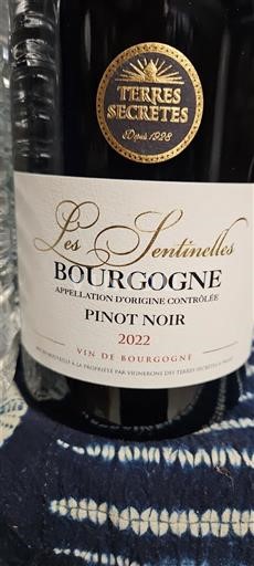Borgoña Terres Secrètes Les Sentinelles 2022