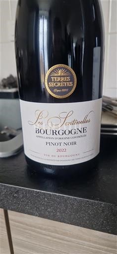 Burgundia Terres Secrètes Les Sentinelles 2022