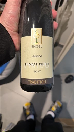 Vina Rouge sec Tradition Les Frères Engel 2017 Francija Alzacija Pinot noir AOC