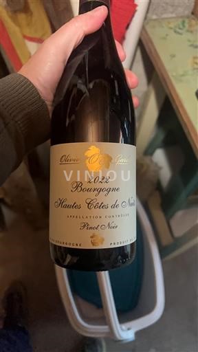 Borgogna Hautes Côtes de Nuits Olivier Guyot 2022