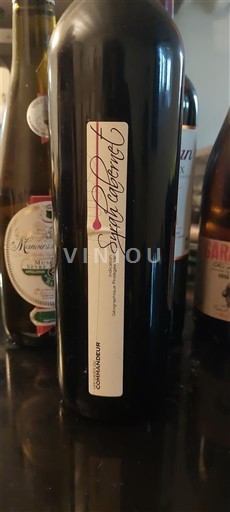 Burdeos Saint-Émilion Château Mangot Saint-Émilion 2017