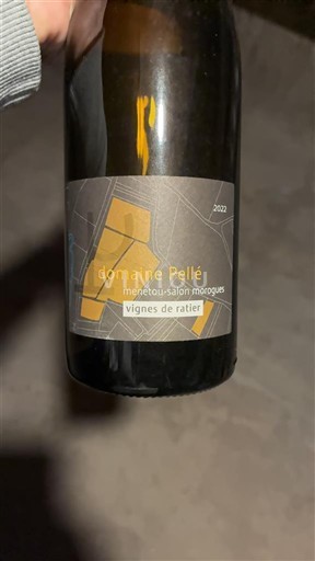 Valle del Loira Menetou-Salon Domaine Pellé Vignes de Ratier 2020