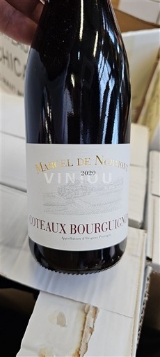 Bourgogne Bourgognebackar Marcel de Nuits 2020