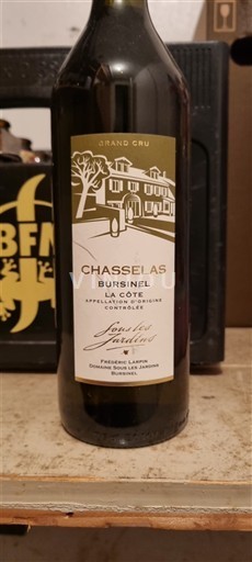 Vina Blanc sec Les Trois Jardins 2021 Švica Vaud La Côte AOC AOC Grand Cru