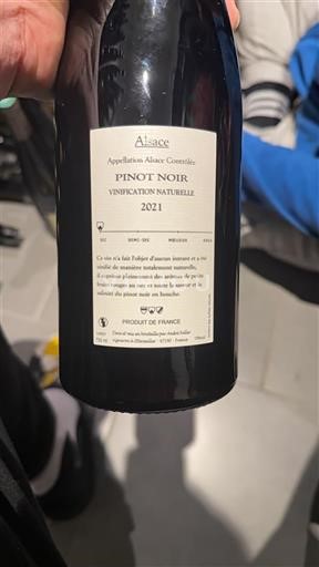 Alsace Pinot noir André Faller Noir Nature 2021