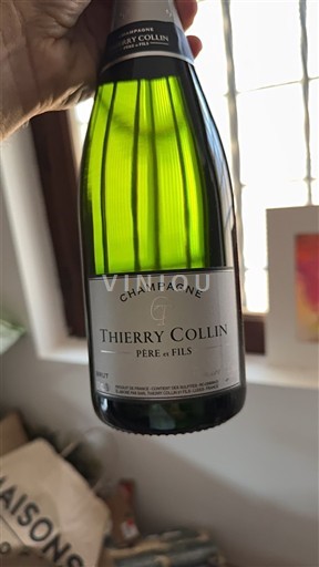 Champaña Champán Thierry Collin Brut Sin añada