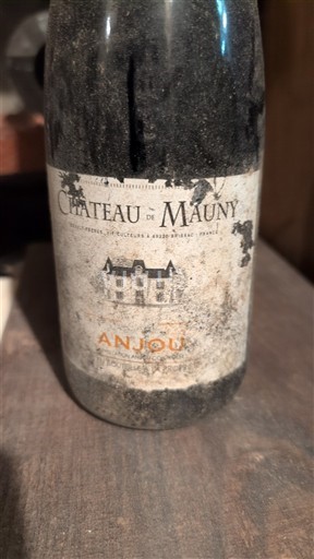 Valle della Loira Anjou Château Mauny Senza annata