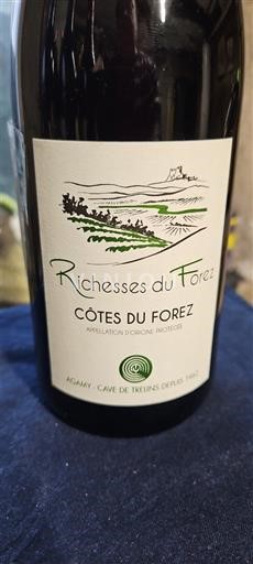 Dolina Loare Côtes-du-forez Agamy - Cave de Trelins Richesses du Forez Neleten.