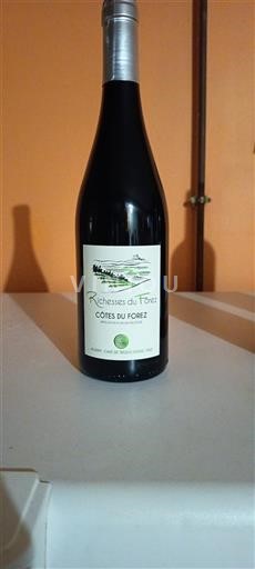 Valle della Loira Côtes-du-forez Agamy - Cave de Trelins Richesses du Forez Senza annata