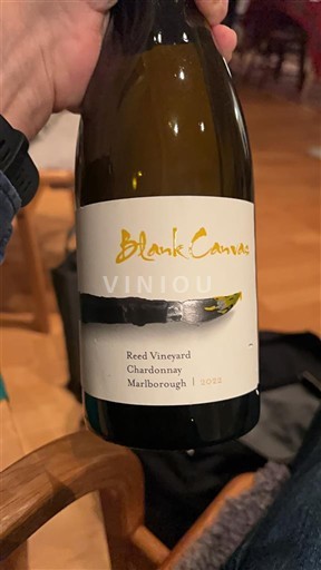 Marlborough Blank Canvas Reed Vineyard 2022