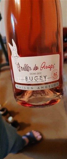 Савойя та Бюже Бюже Maison Angelot Bulles des Anges Без вінтажу