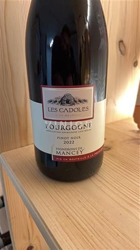 Burgundija Vignerons de Mancey Les Cadoles 2022