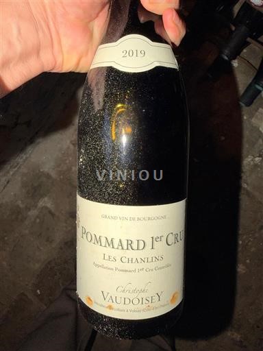 Burgundia Nespecificat Premier Cru Christophe Vaudoisey Les Chanlins 2019