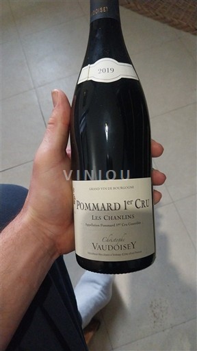 Borgogna Non specificato Premier Cru Christophe Vaudoisey Les Chanlins 2019
