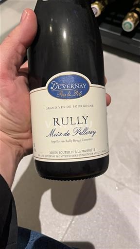 Bourgogne Rully Duvernay Père & Fils Meix de Pillery 2023
