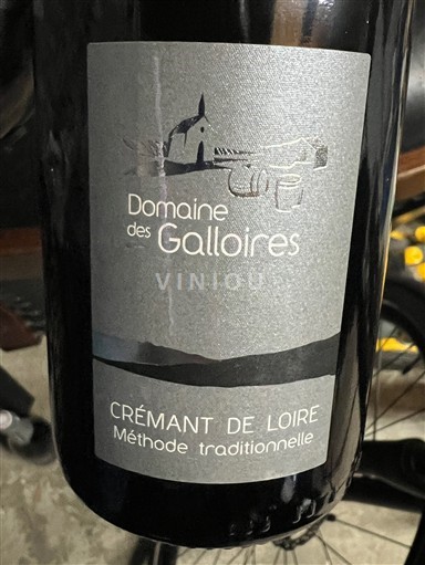 Vallée de la Loire Crémant-de-loire Domaine Des GalloIres Non Millésimé