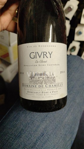 Burgundija Givry Domaine Chamilly En Choué 2014