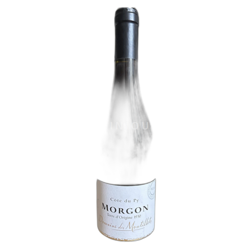 Beaujolais Morgon Domaine des Montillets Côte du Py 2021