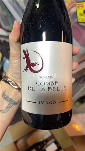 Vale do Ródano Costières de Nîmes Domaine Combe de la Belle Imago 2021