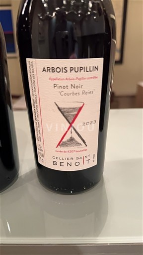 Jura Arbois Cellier Saint Benoît Courbes Rares 2023