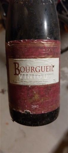 Loiren laakso Bourgueil Vignoble sourice 2002 2002