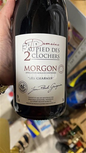 Beaujolais Morgon Domaine Au Pied des 2 Clochers Les Charmes 2021
