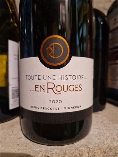 Rượu vang Rouge sec Toute une histoire... en Rouges Régis Descotes 2020 Pháp Lyonnais Đồi Lyonnais AOC
