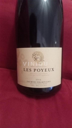 Loire-dalen Saumur-Champigny Clos Rougeard Les Poyeux 2019