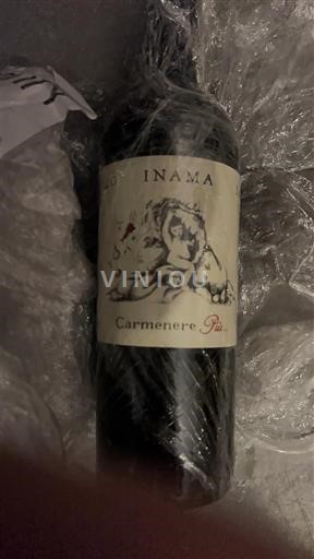 Vénétie Rosso del Veronese Inama Carmenere Piu 2016