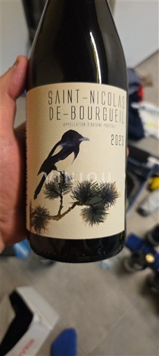 Vale do Loire Saint-Nicolas-De-Bourgueil Les Héritiers A.D 2023