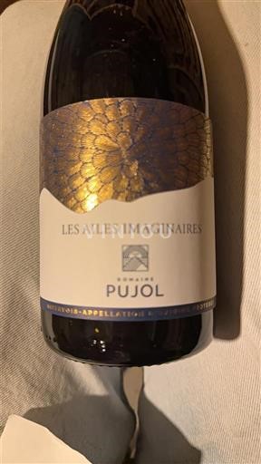 Languedoc Minervois Domaine Pujol Les Ailes Imaginaires Neročník