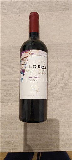 Mendoza Valle de Uco Foster Lorca 2024