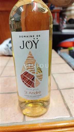 Sudoeste Côtes de Gascogne Domaine Joy St André Não Sazonado