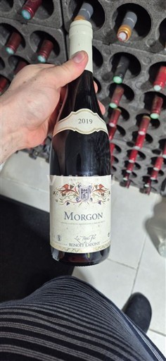 Beaujolais Morgon Benoît Lafont Les Pierres Fines 2019