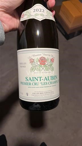 Borgogna Saint-Aubin Premier Cru Gilles Bouton & Fils Premier Cru Les Champlots Vieilles Vignes 2022