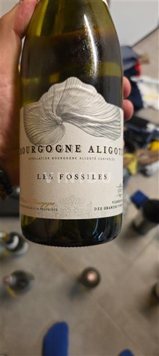 Bourgogne Bourgogne-aligoté Vignerons des Terres Secrètes Les Fossiles 2019