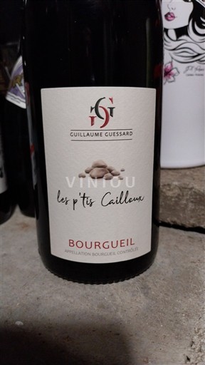 Loiren laakso Bourgueil Guillaume Guessard Les p'tits Cailloux 2023